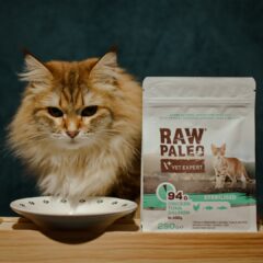 RAW PALEO dry food