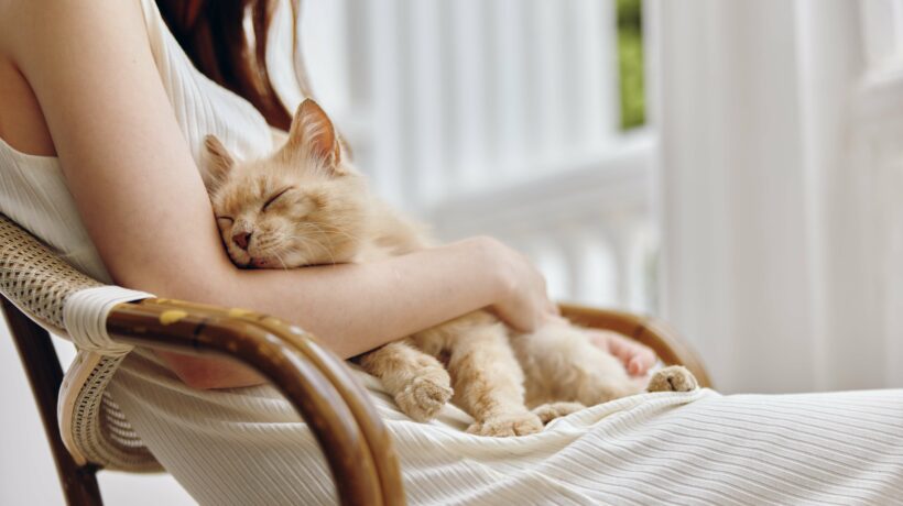 Woman in white dress together with the cat on the terrace Friendship rest unaltered