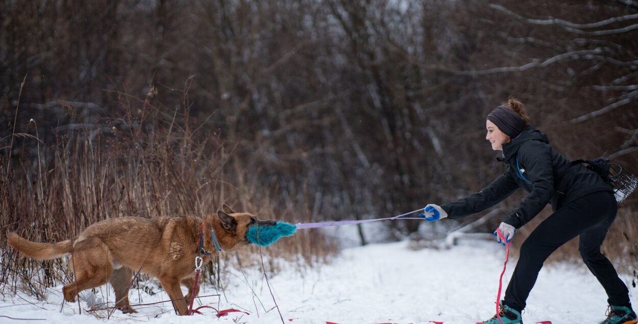 The basic needs of a dog. What do you know about them and how can you meet them?